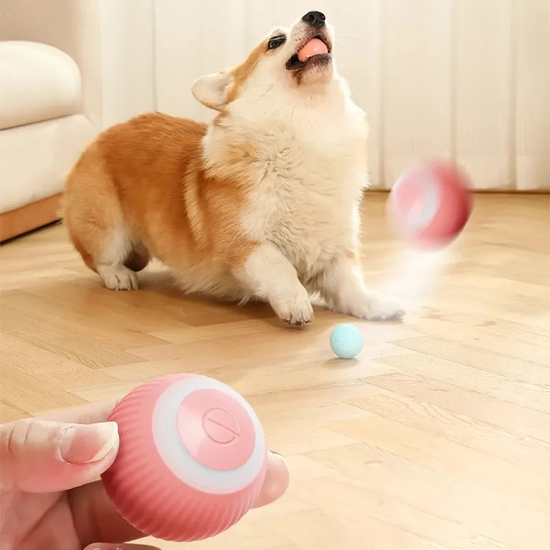 PetFun™ Pelota Inteligente Ball ⚽