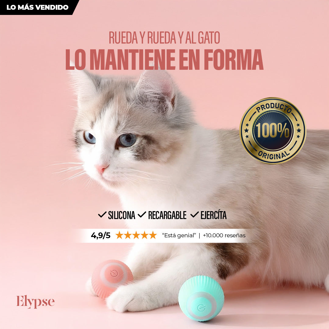 PetFun™ Pelota Inteligente Ball ⚽