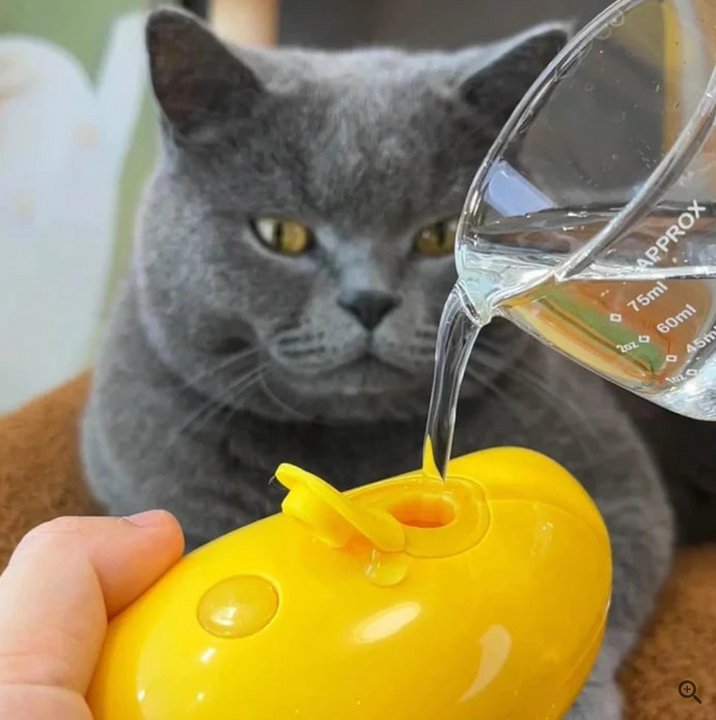 Cepillo 3 en 1 a Vapor para Mascota