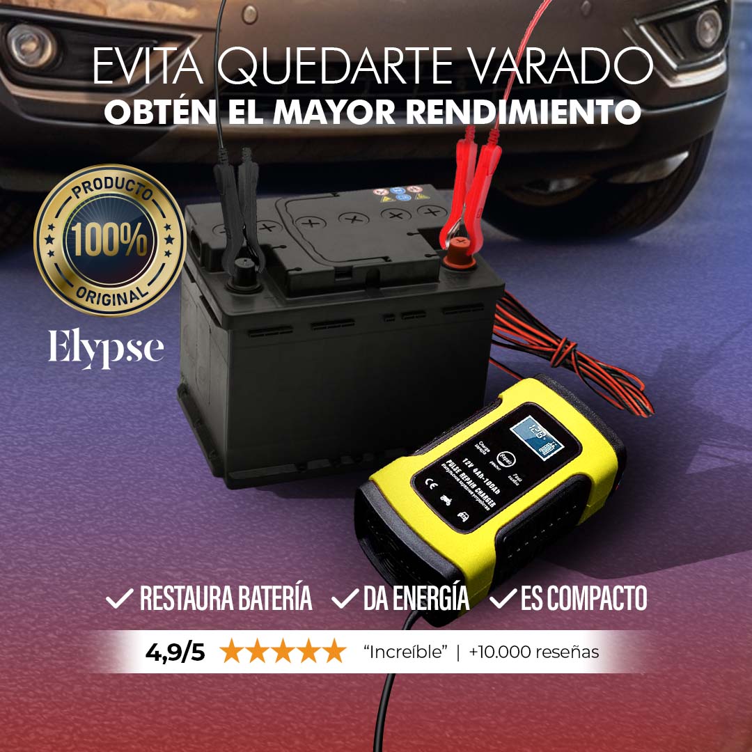 Cargador Auto Inteligente Batería 12v De Auto