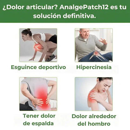 Wellnee® Parches para dolor 12 Unidades